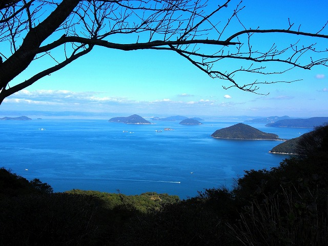 古民家民宿麻の宿　周辺の見所・お食事処・お店