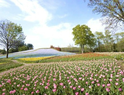 古民家民宿麻の宿　周辺の見所・お食事処・お店