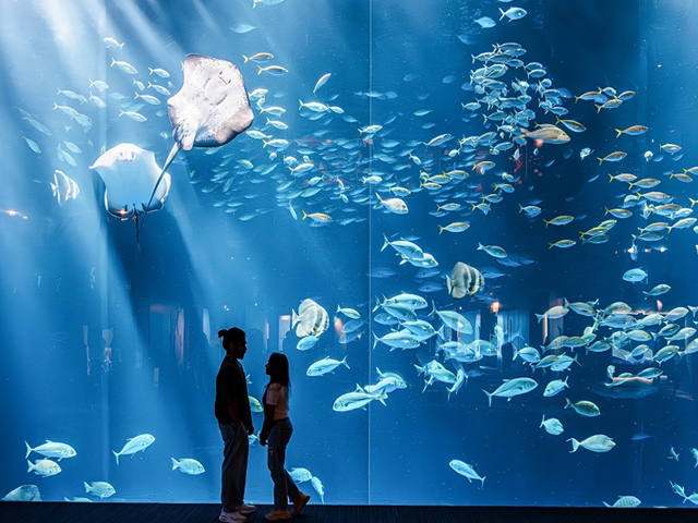 古民家民宿麻の宿　周辺の見所・お食事処・お店